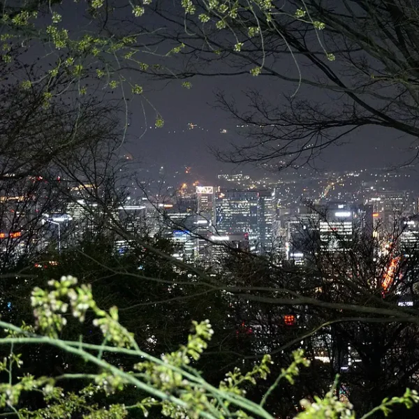 아로마 예리테라스 마사지 대표 안내 이미지