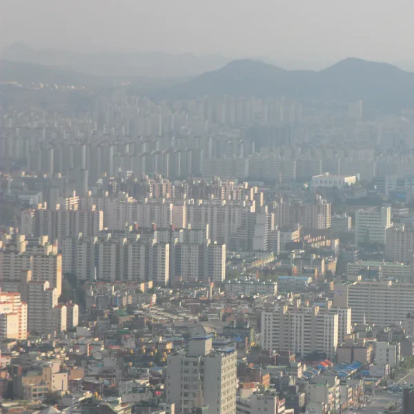 웰니스 라엘웰빙 테라피 대표 안내 이미지