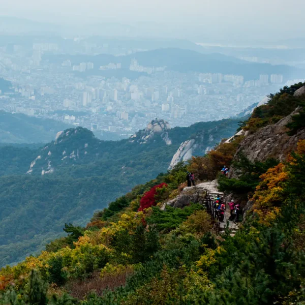스위트 블루밍라운지 마사지 대표 안내 이미지